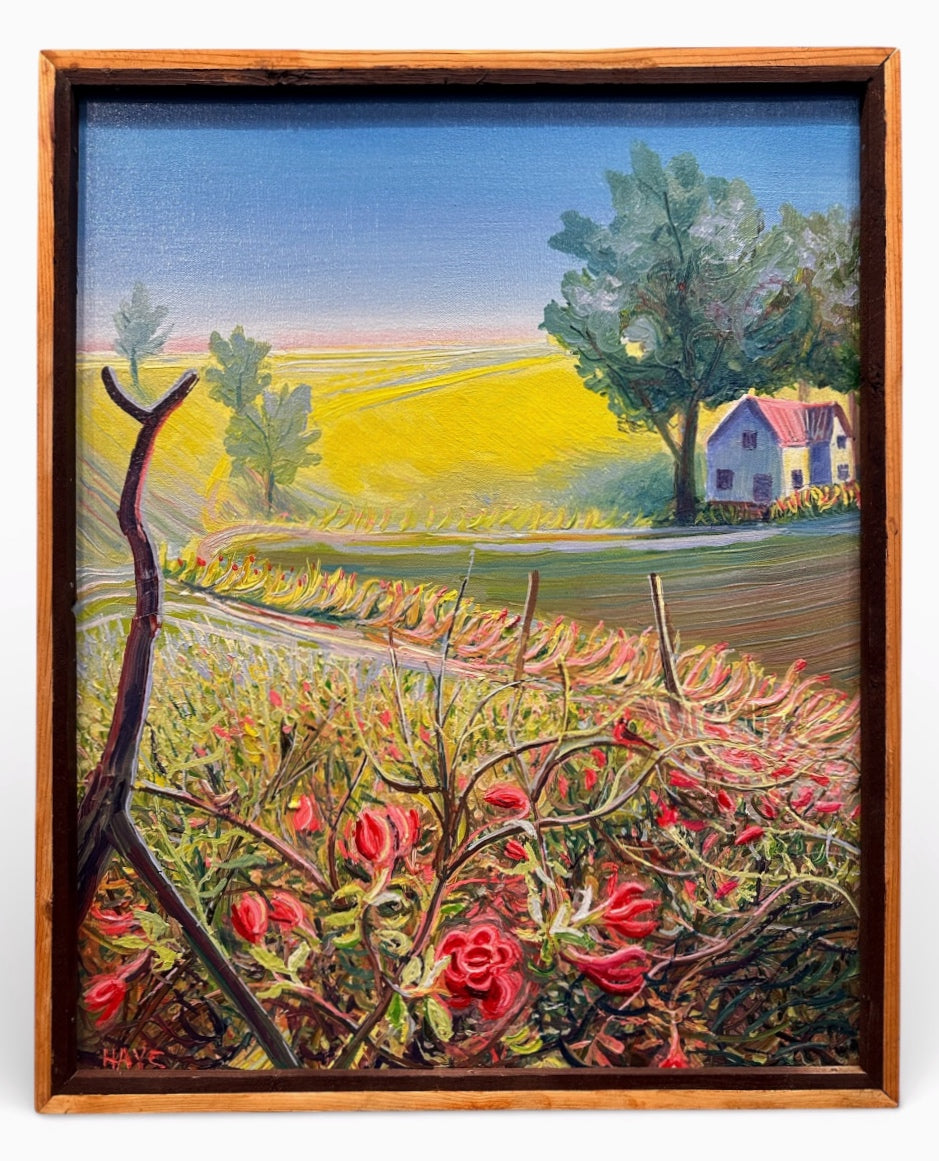 Roses in a Farm