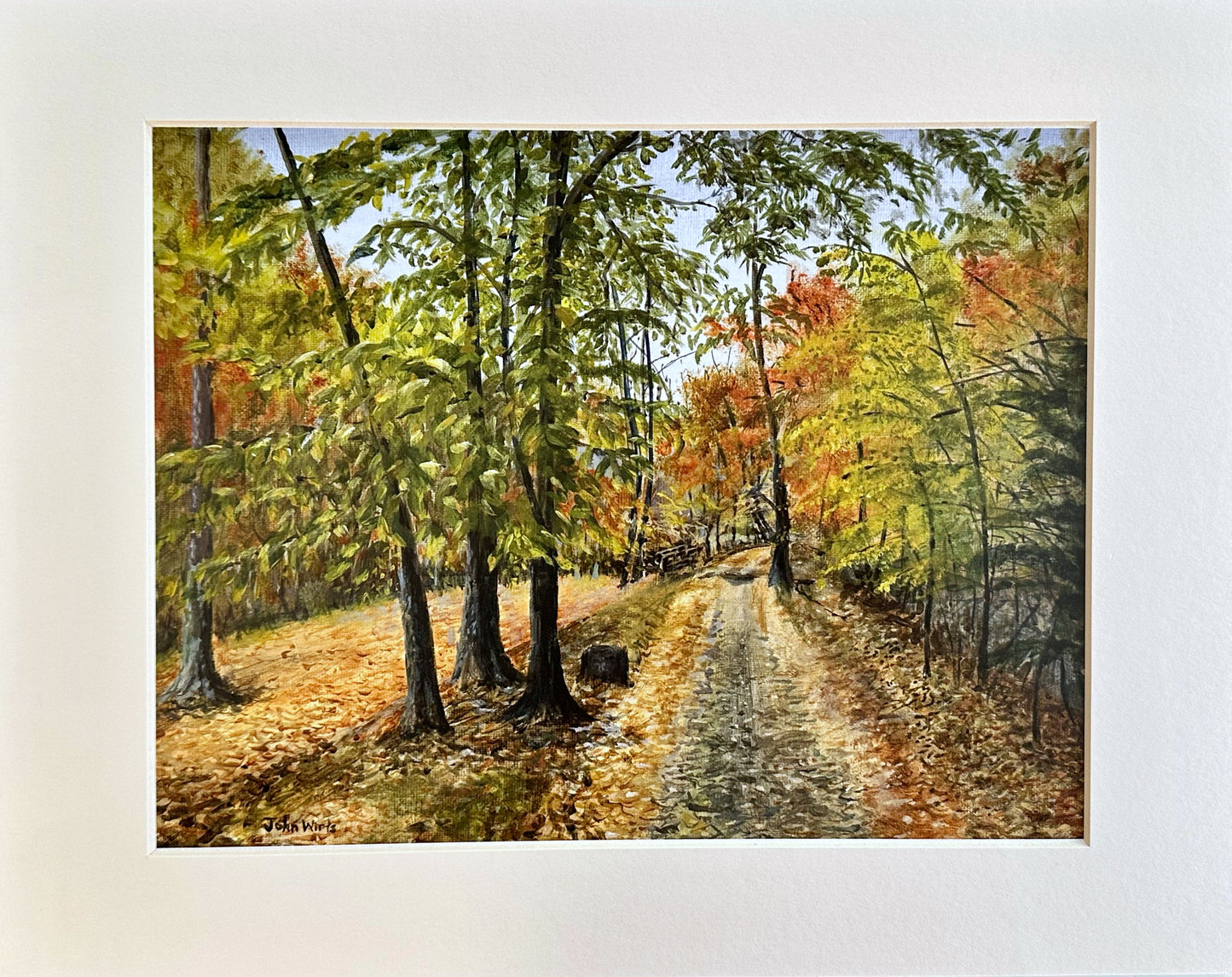 Print-Dunlop Falls at Kanawha State Forest