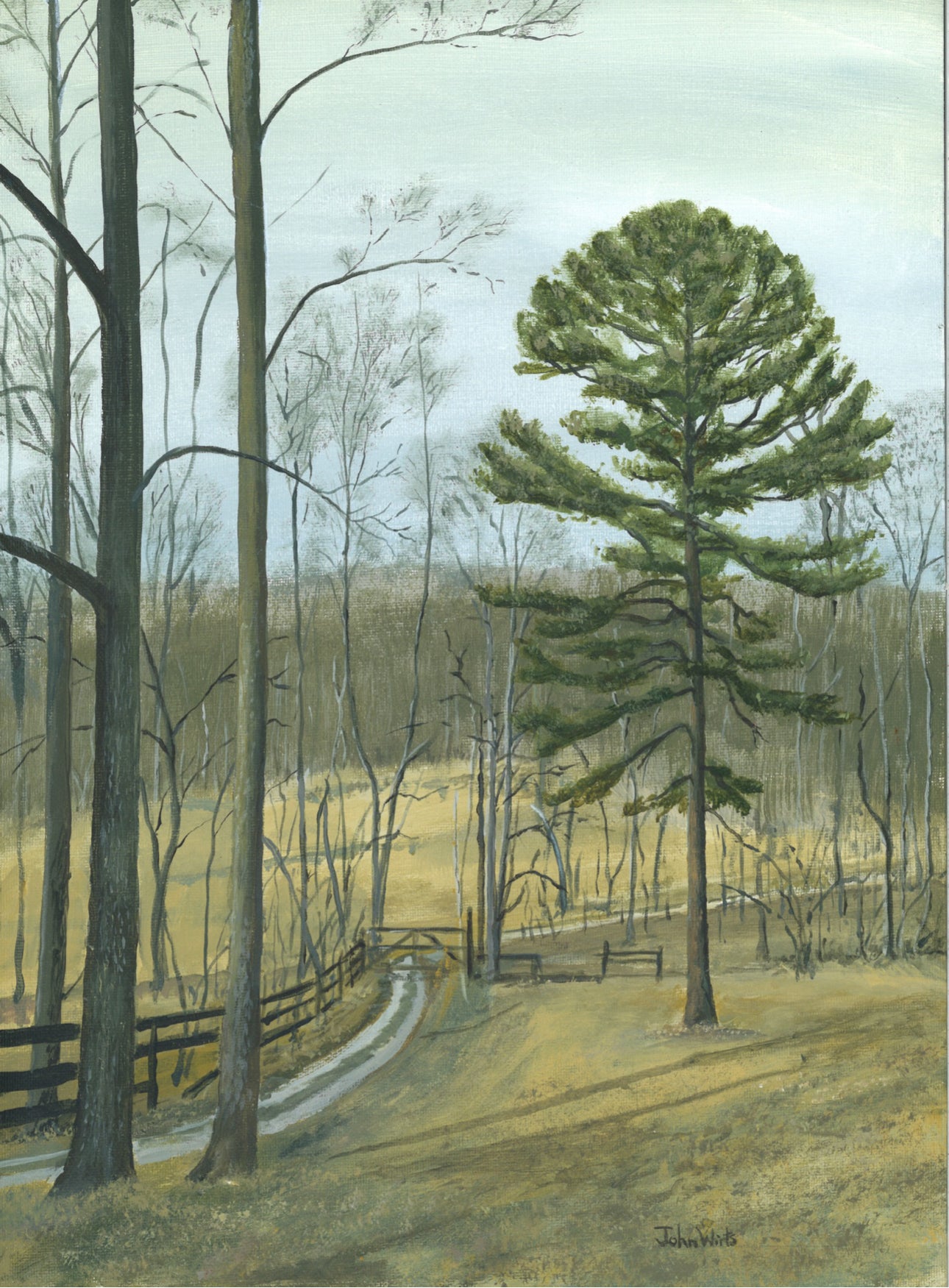 Print-Shortleaf Pine on the Ridge