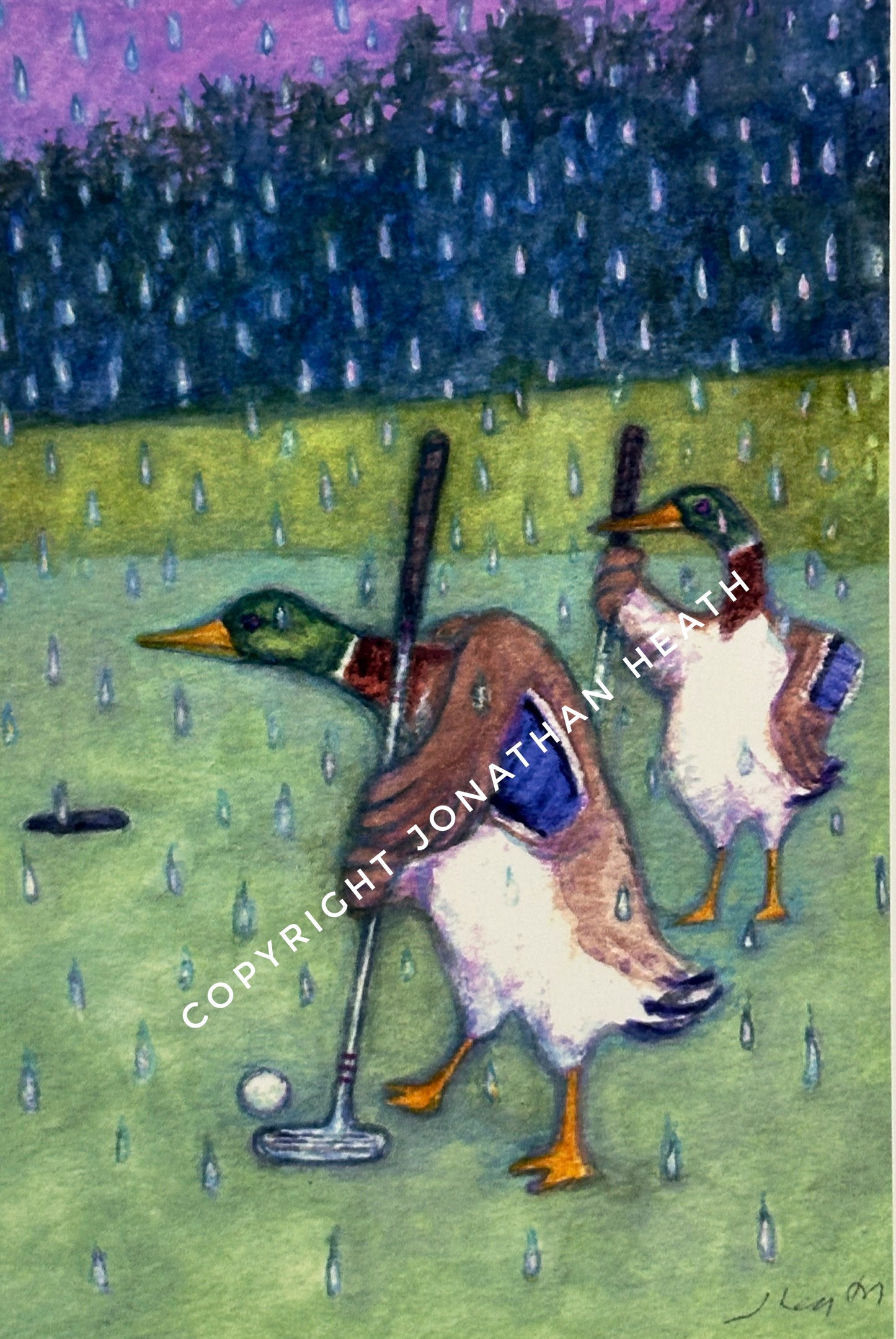 Rainy Day