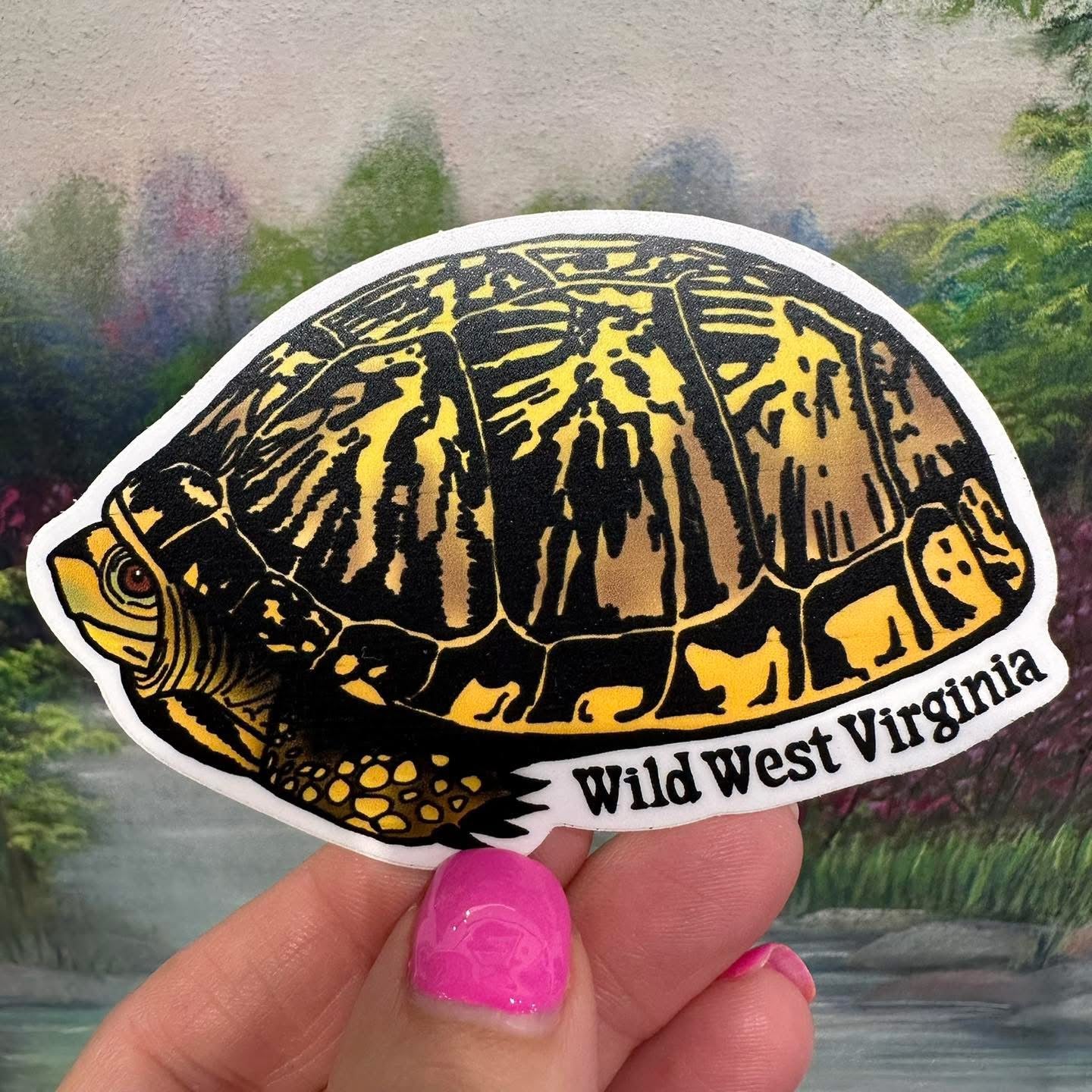 WV Box Turtle Sticker
