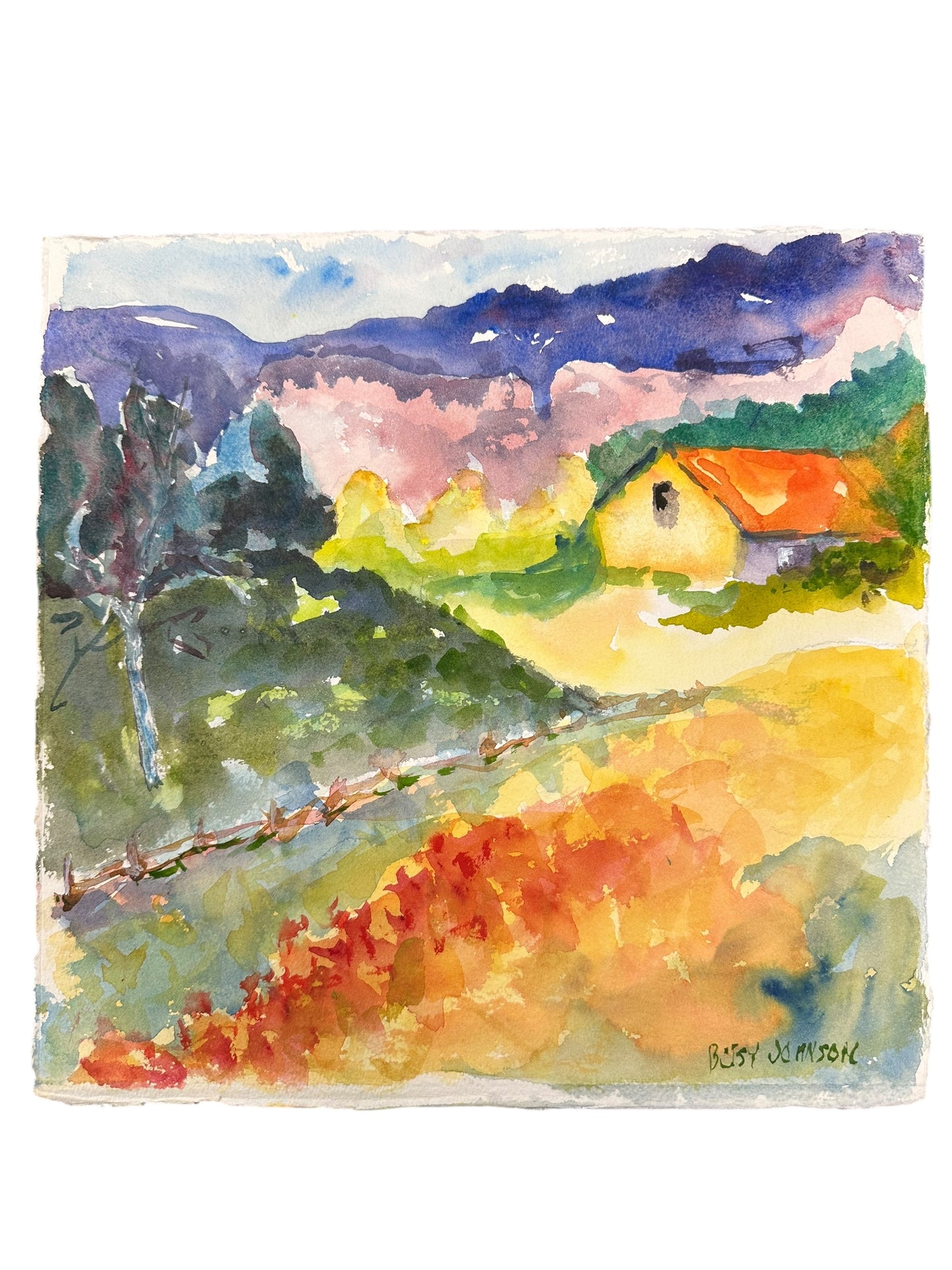 Colorful Countryside