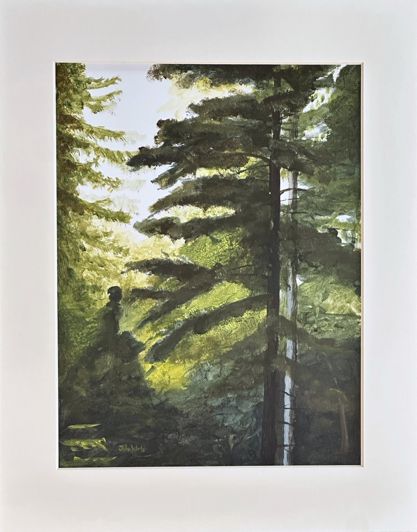 Print-Snowshoe Spruce