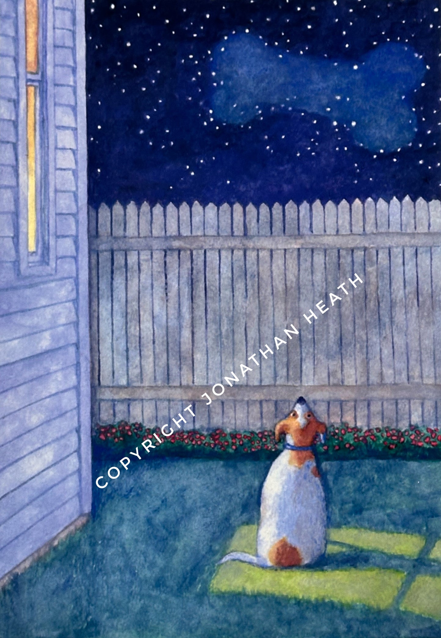 Bone Constellation