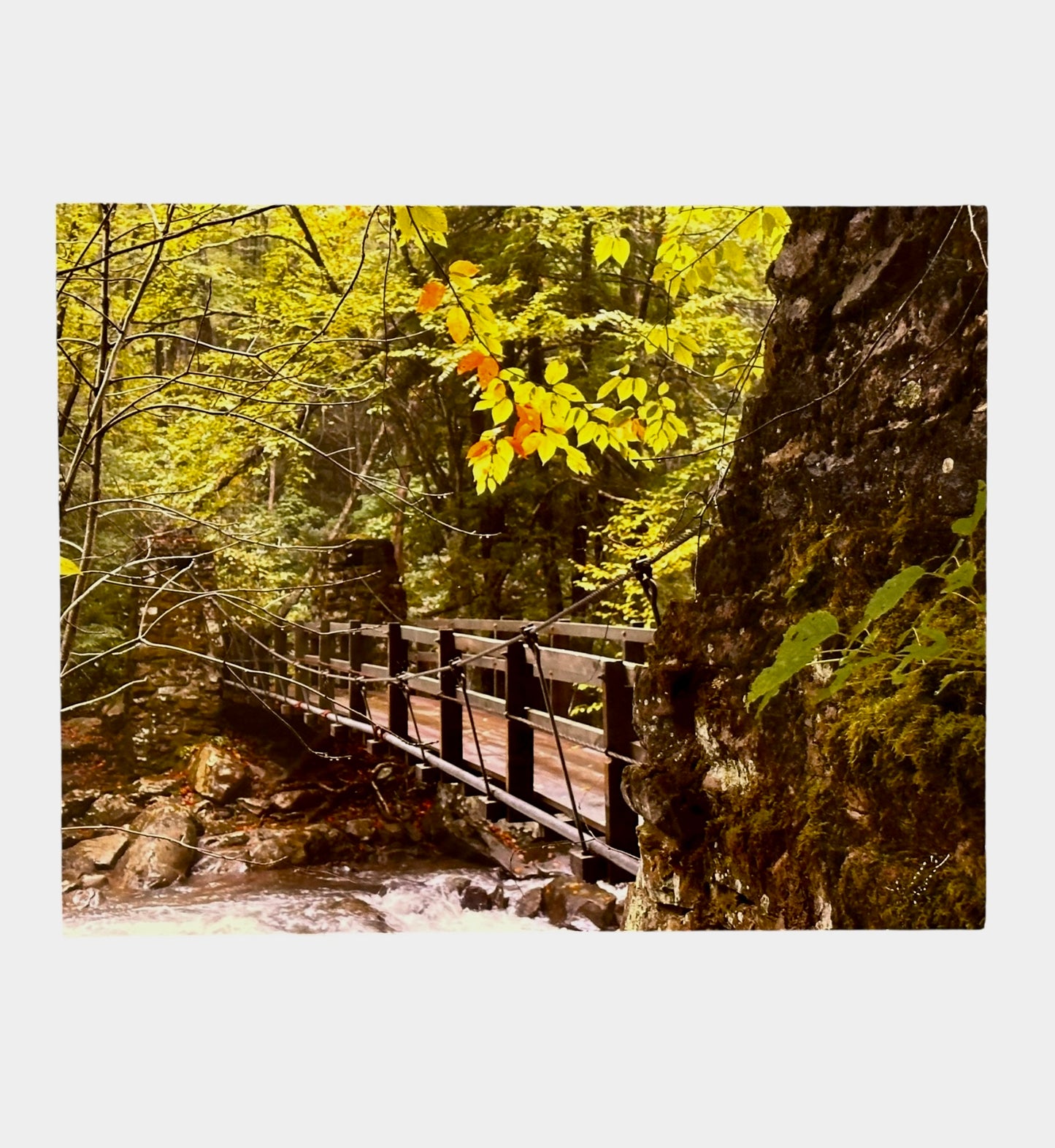 Babcock Swinging Path