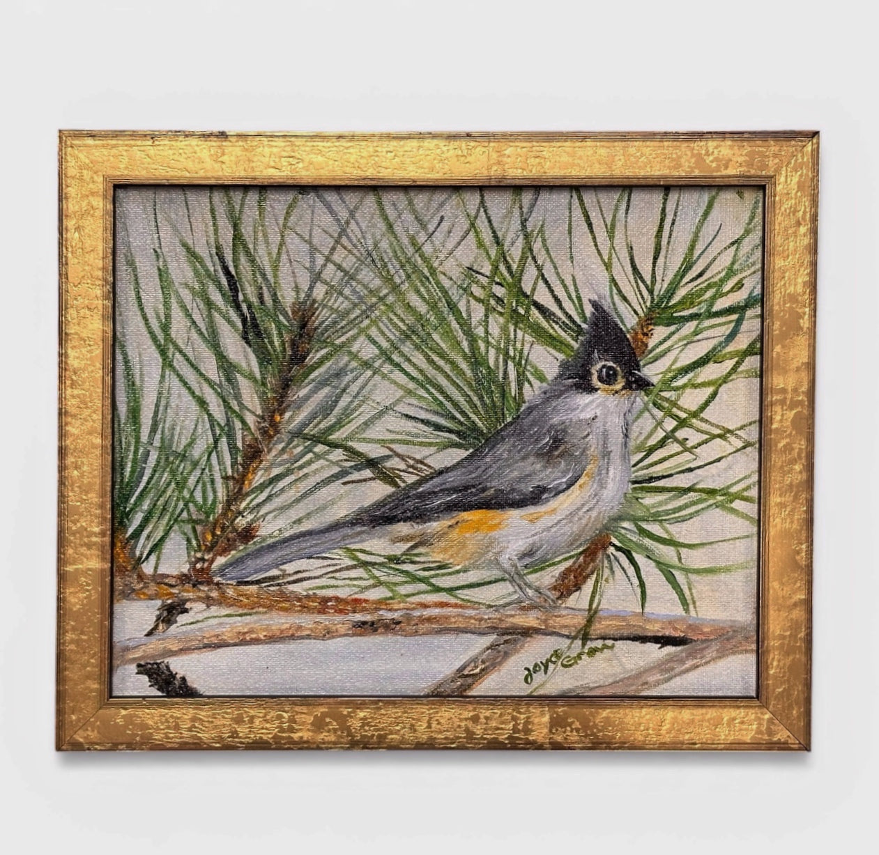 Tufted Titmouse