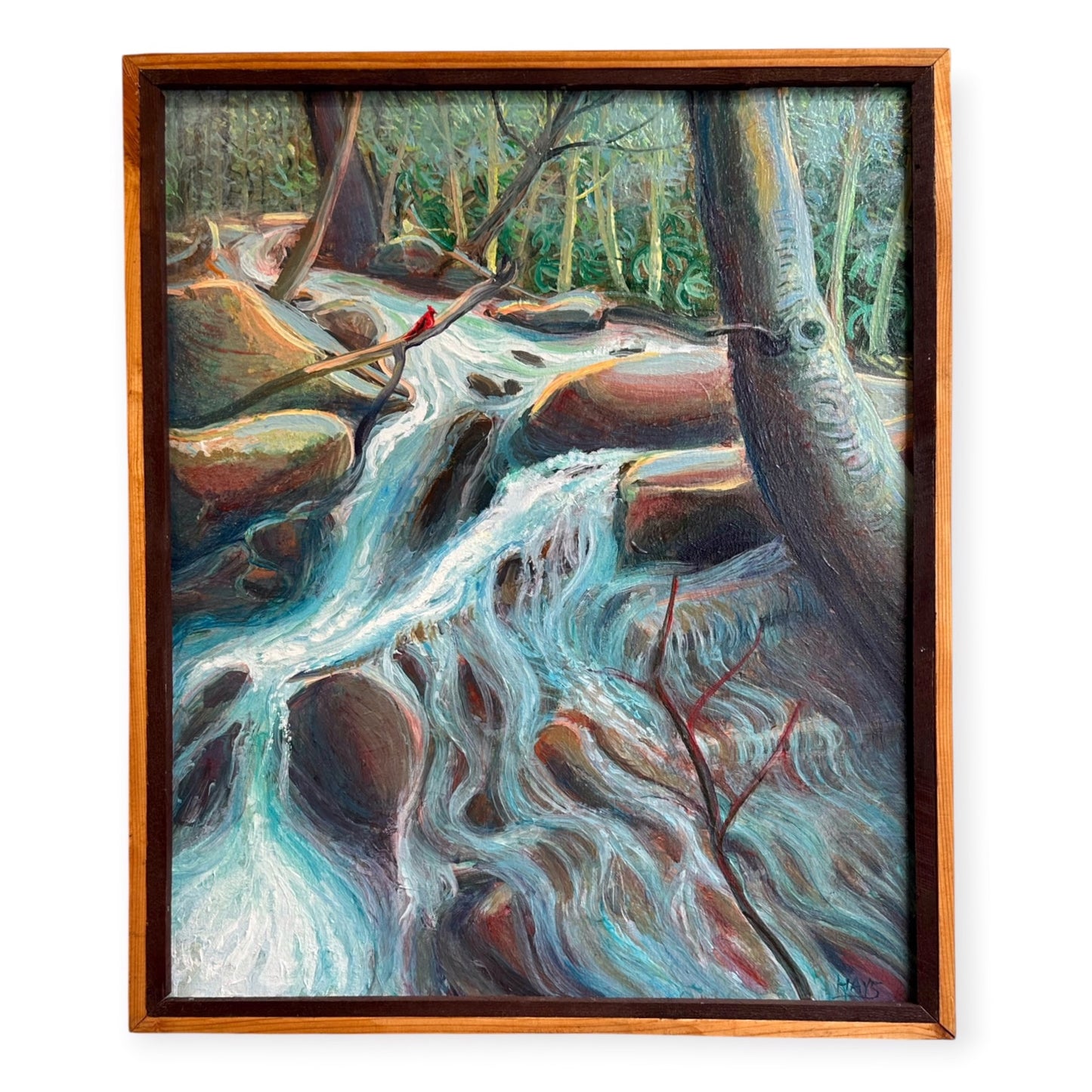 Rich Hollow Cranberry River