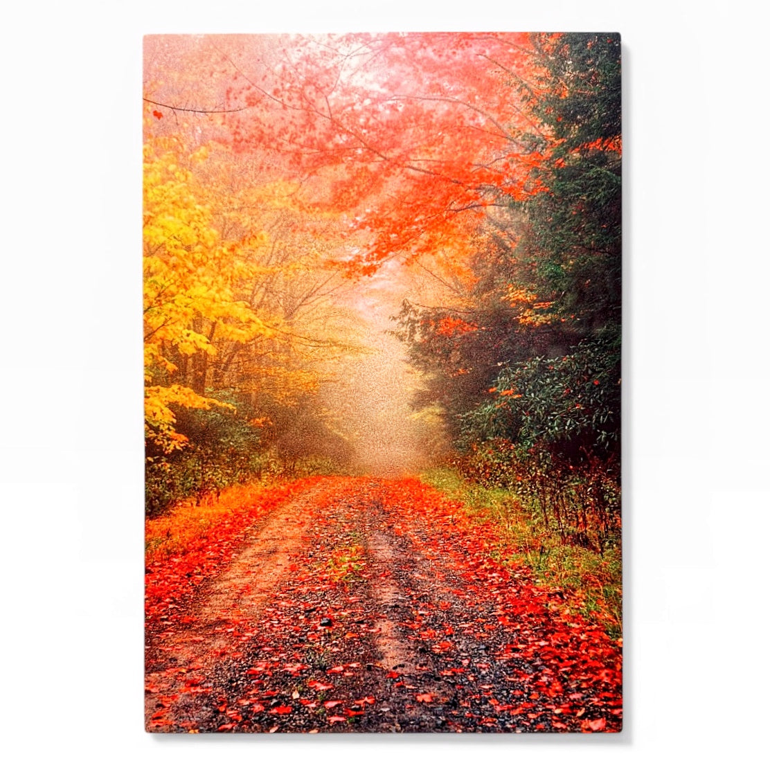 Misty Trail