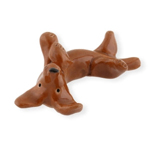 Tummy Daschund