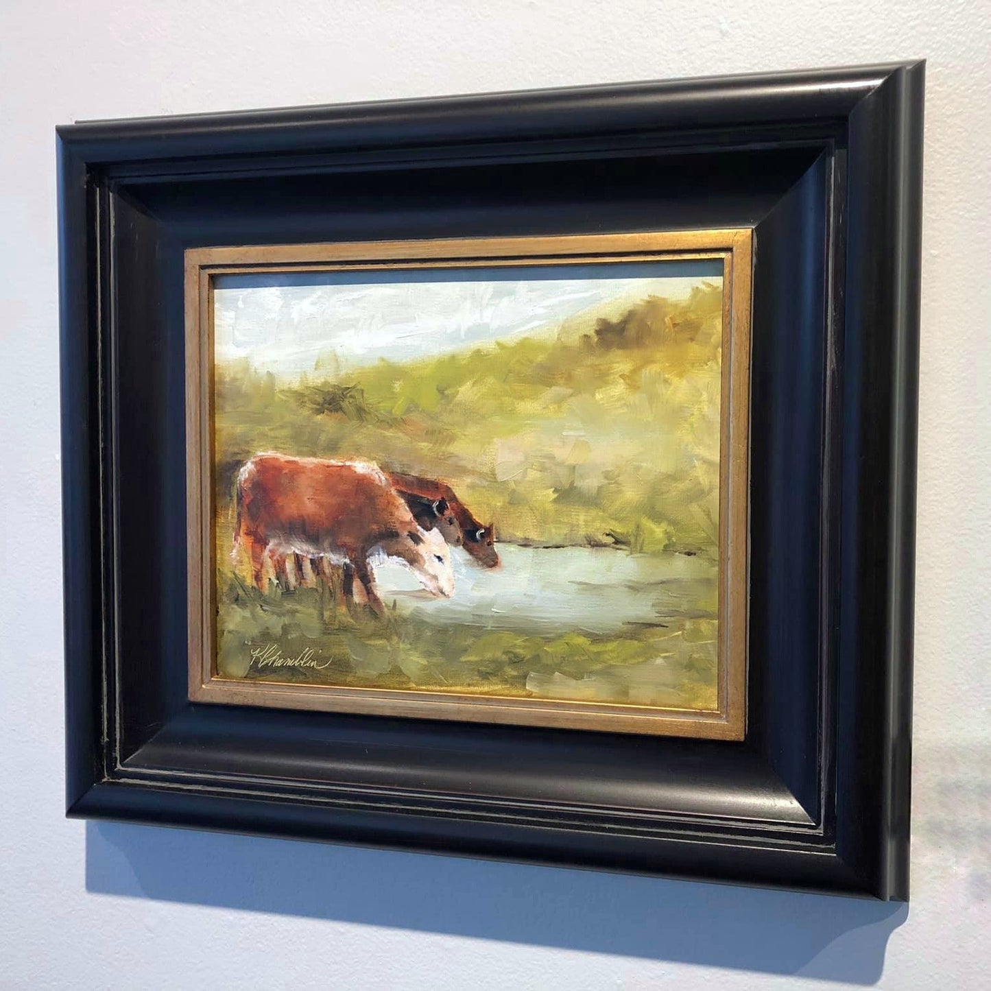 Cows Drinking in Pond