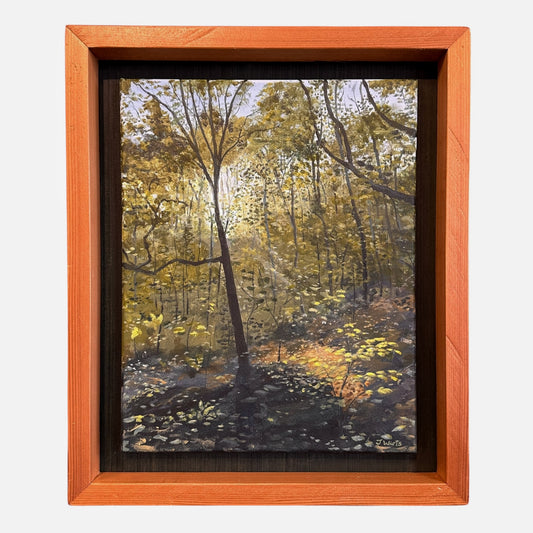 Sunlight on the Summer Leaves
