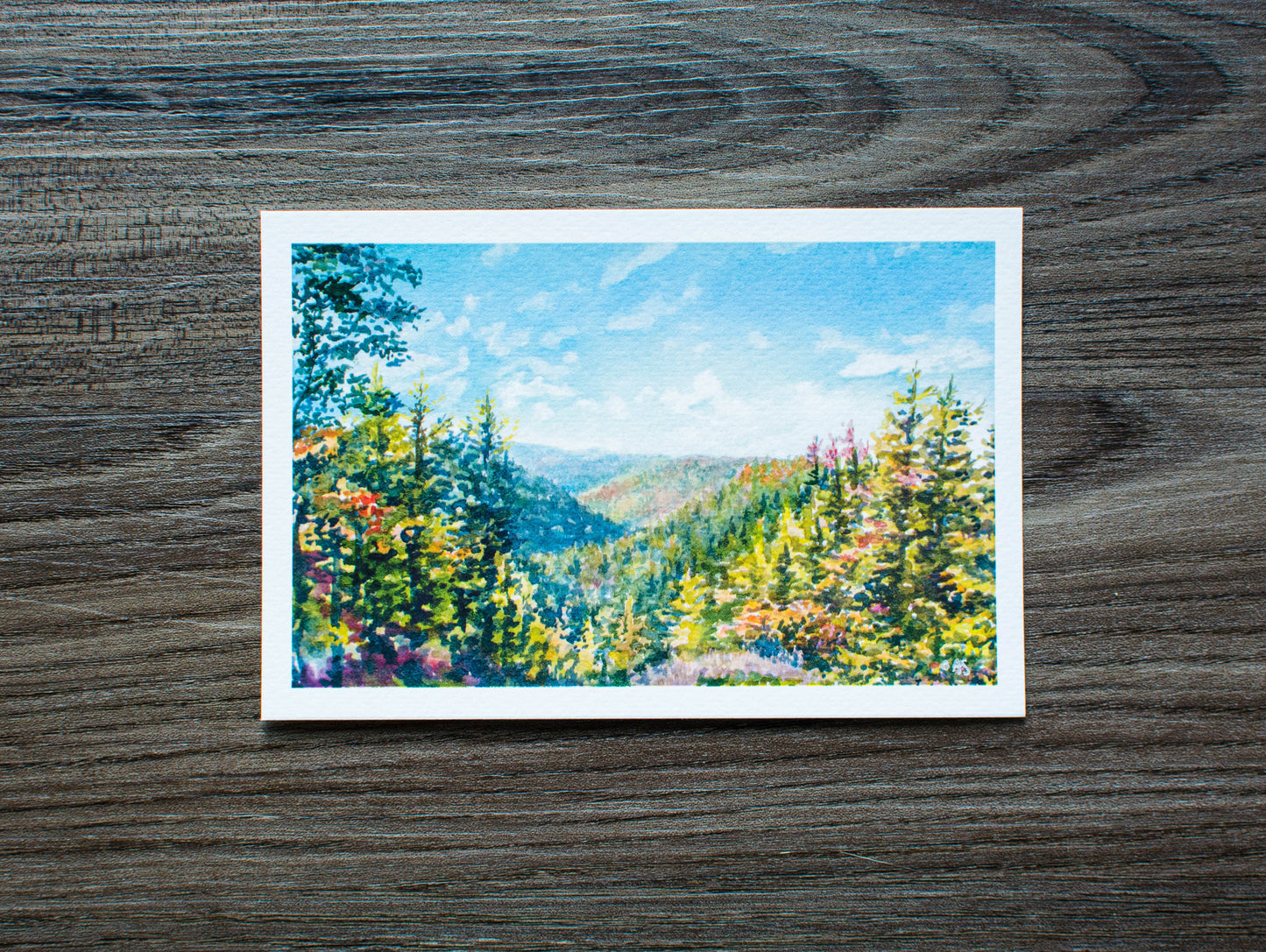 Blackwater Falls State Park, WV Print: 10" x 8"