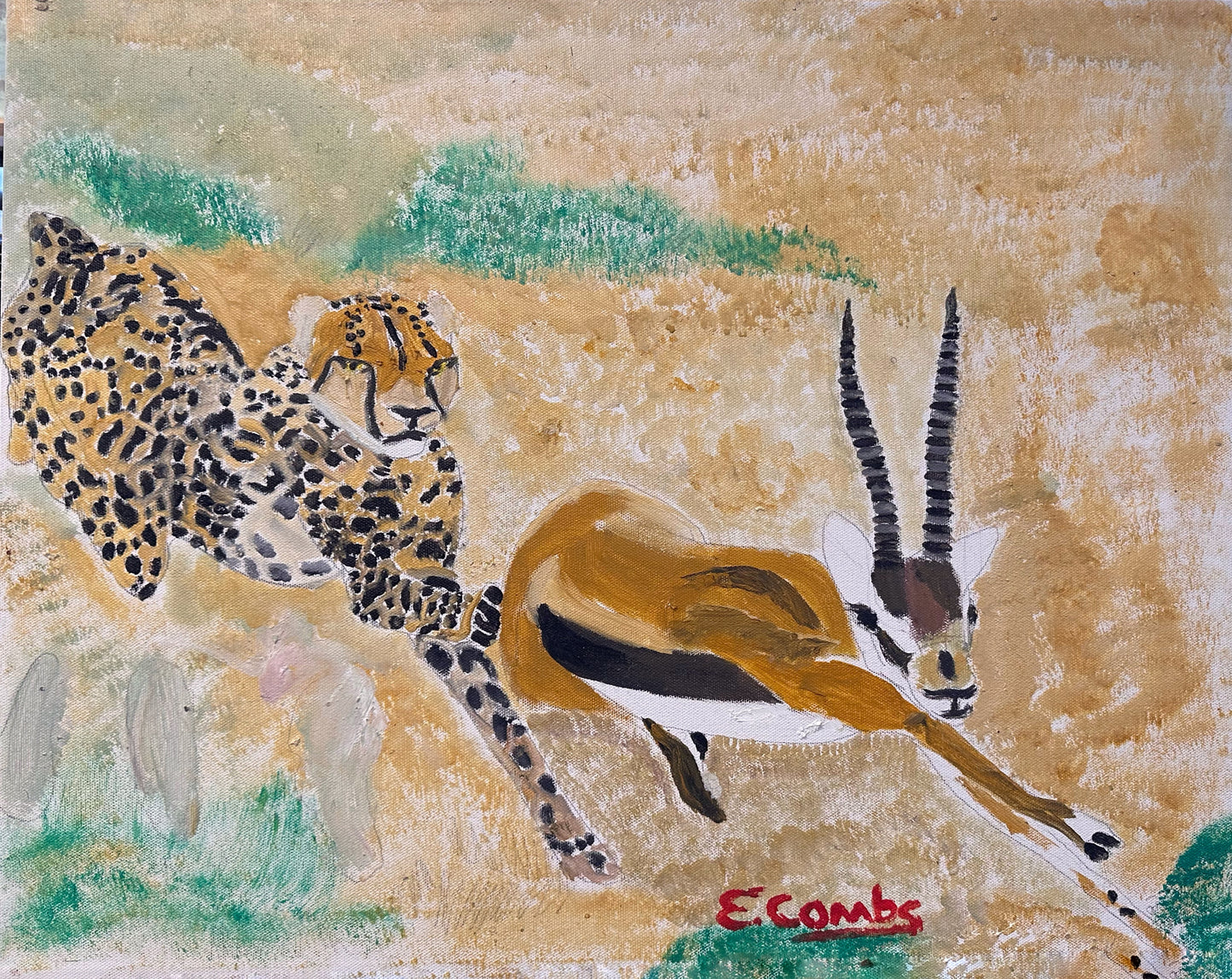 Cheetah Chasing Impala