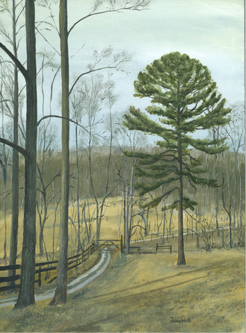 Shortleaf Pine on the Ridge-print