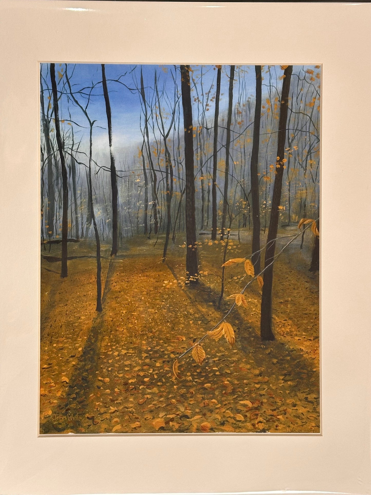 Print-Morning Sun thru the Beeches