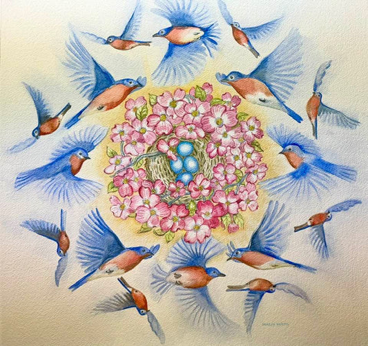 Bluebirds