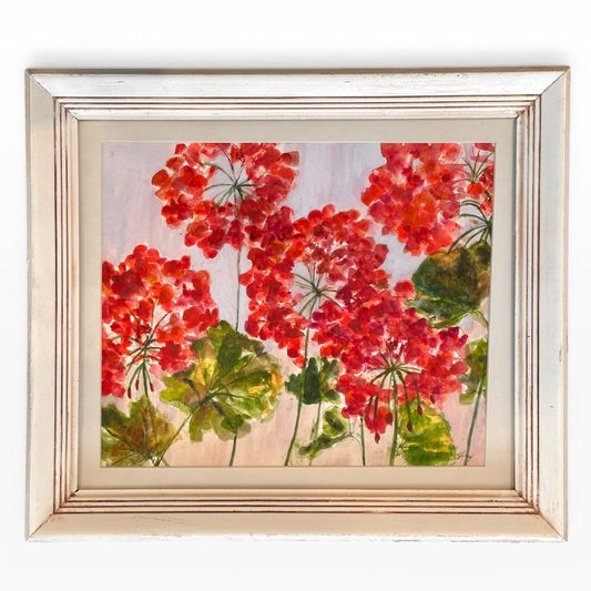 Garden Geraniums