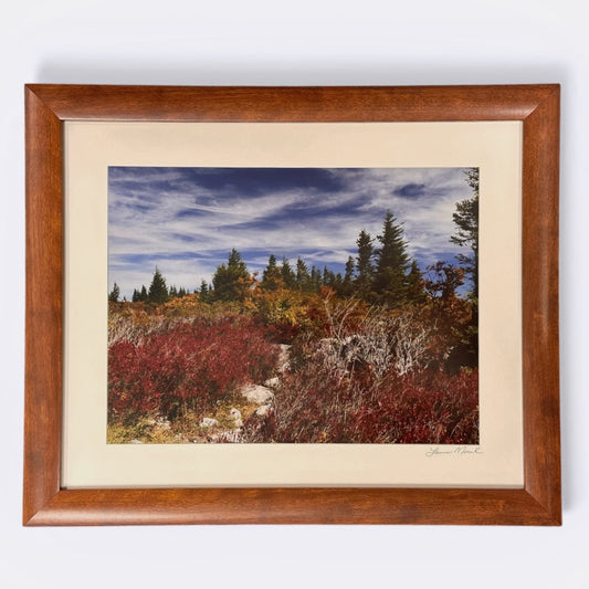 Fall Day on Dolly Sods