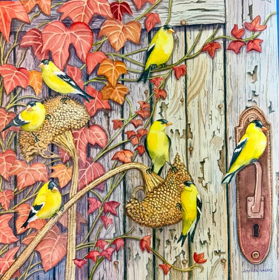 Autumn Finch