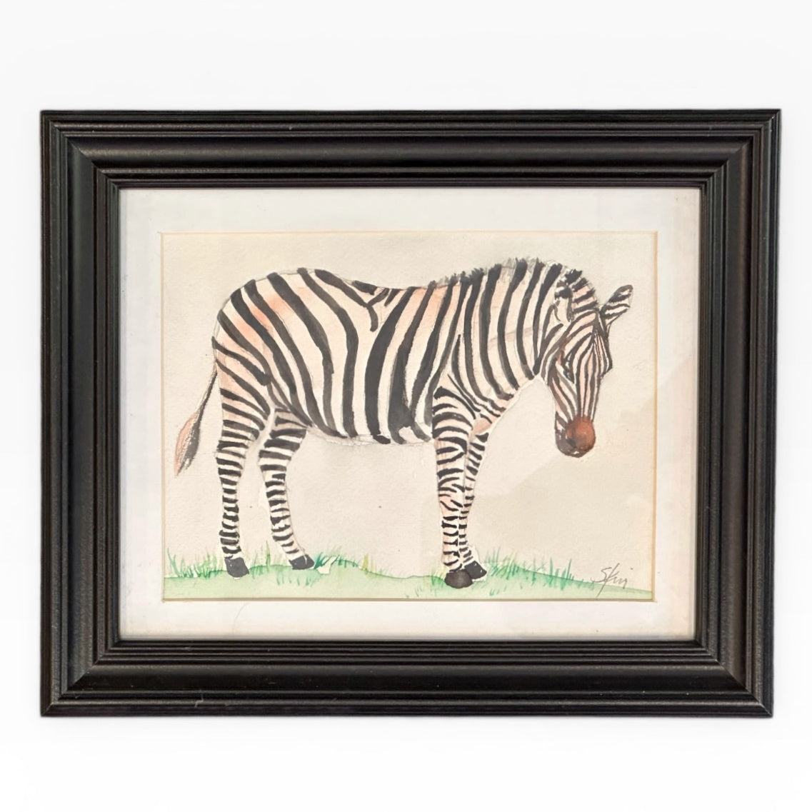 Zebra