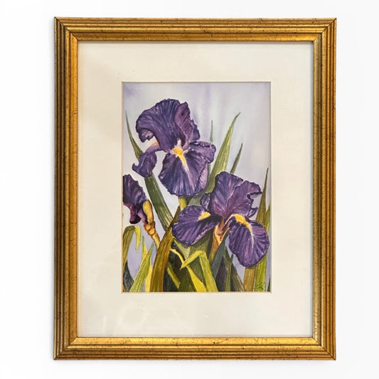Purple Iris