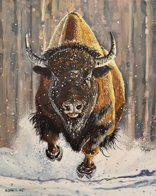 Buffalo