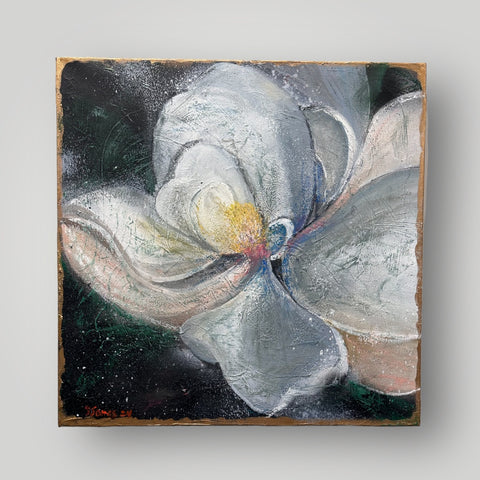 Magnolia