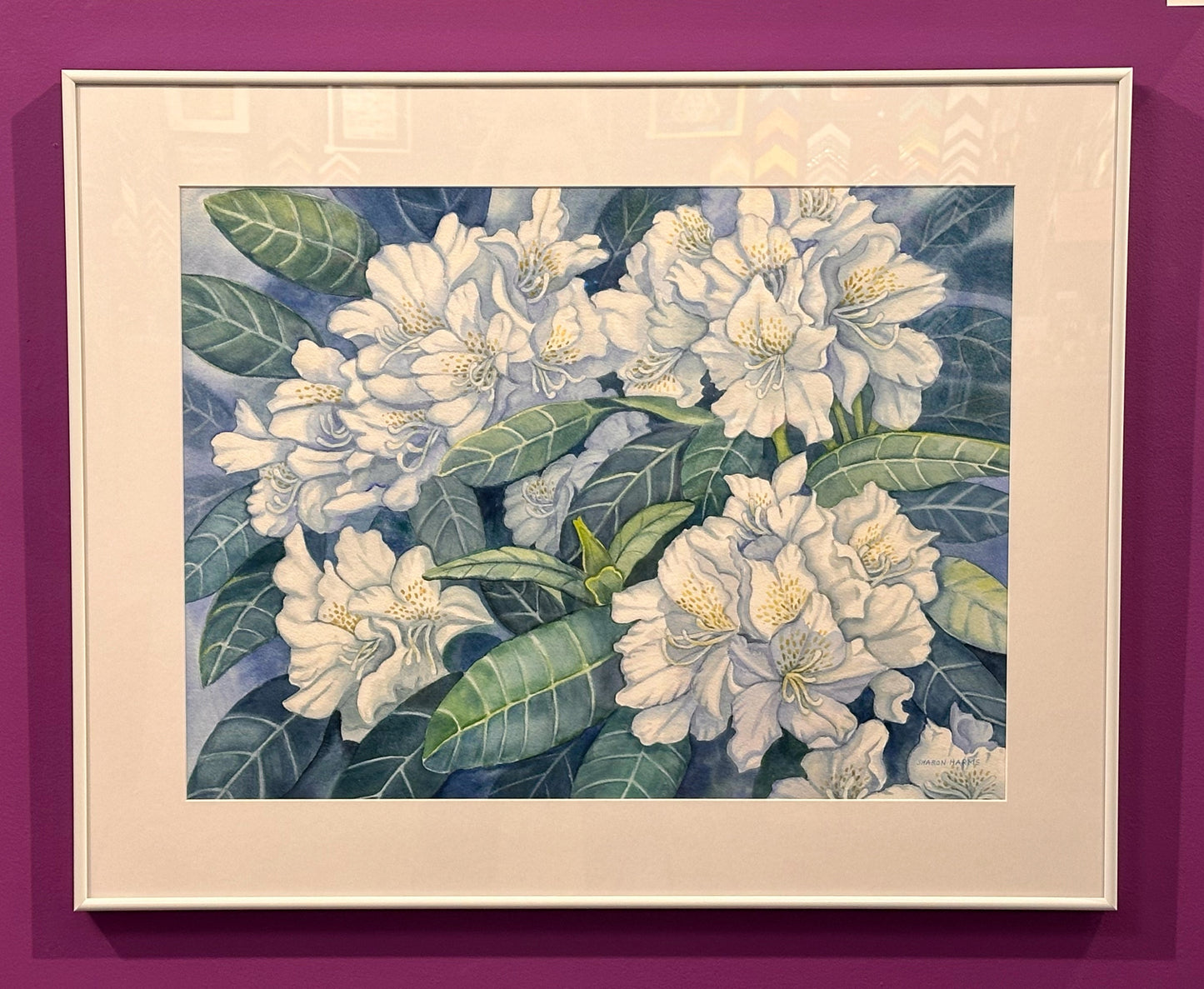 White Rhododendrons