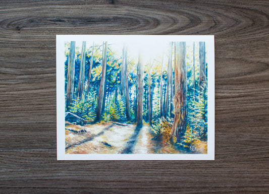 Dolly Sods Forest Shadow Print: 10" x 8"