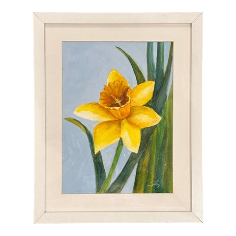 Garden Daffodil
