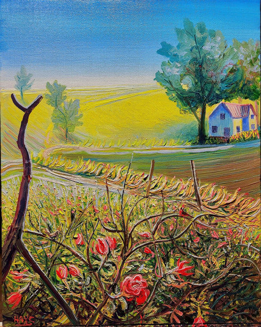 Roses in a Farm