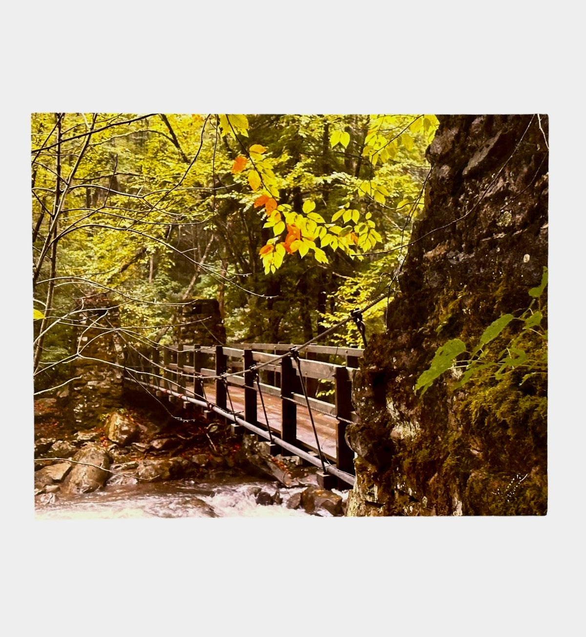 Babcock Swinging Path