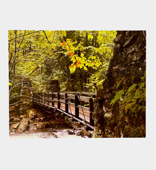 Babcock Swinging Path
