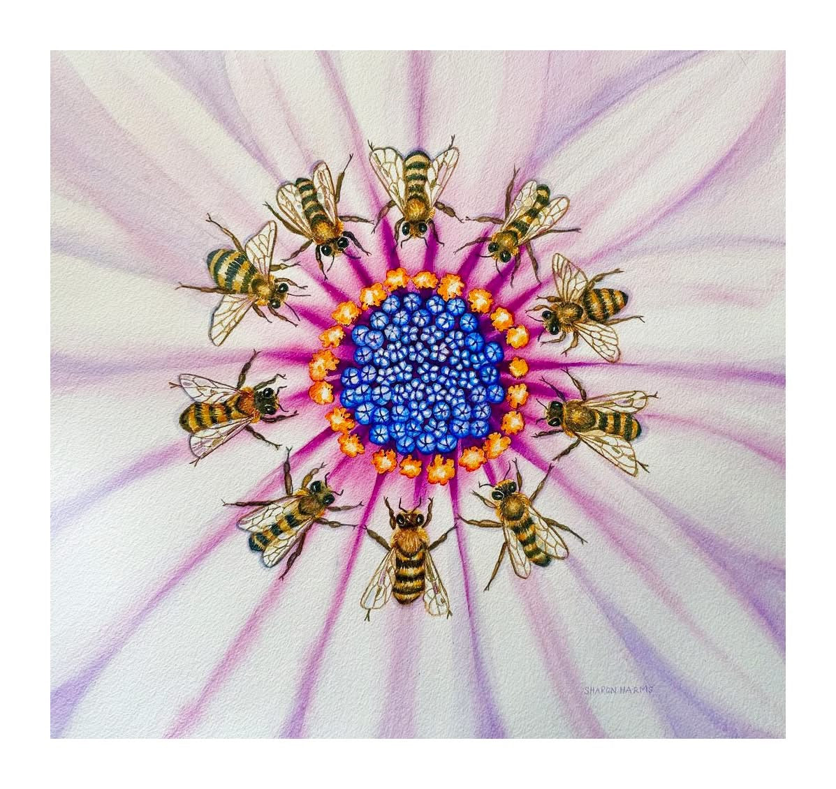 Circle of Life:Bees