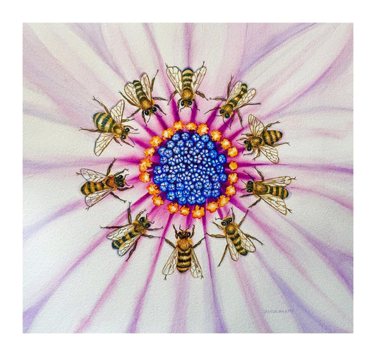 Circle of Life:Bees