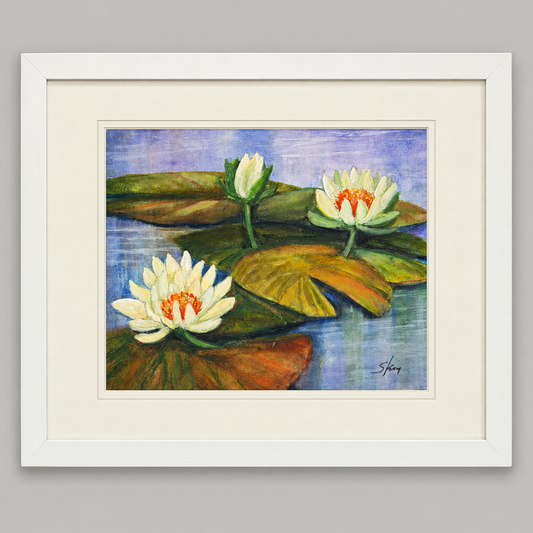 Waterlillies