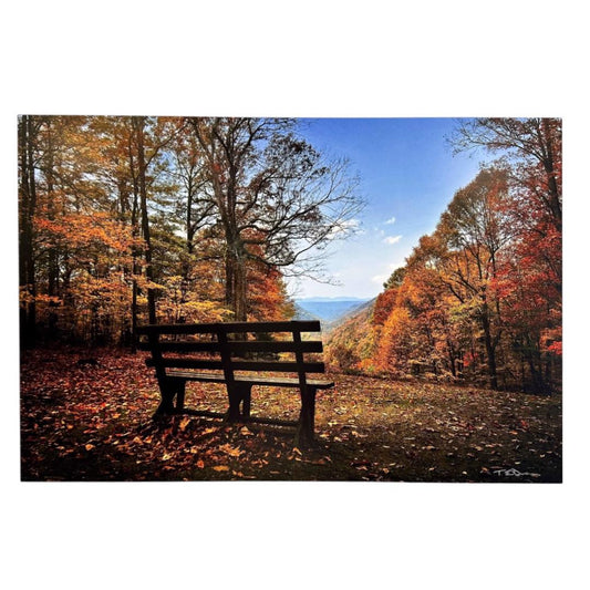 Bench at Babcock