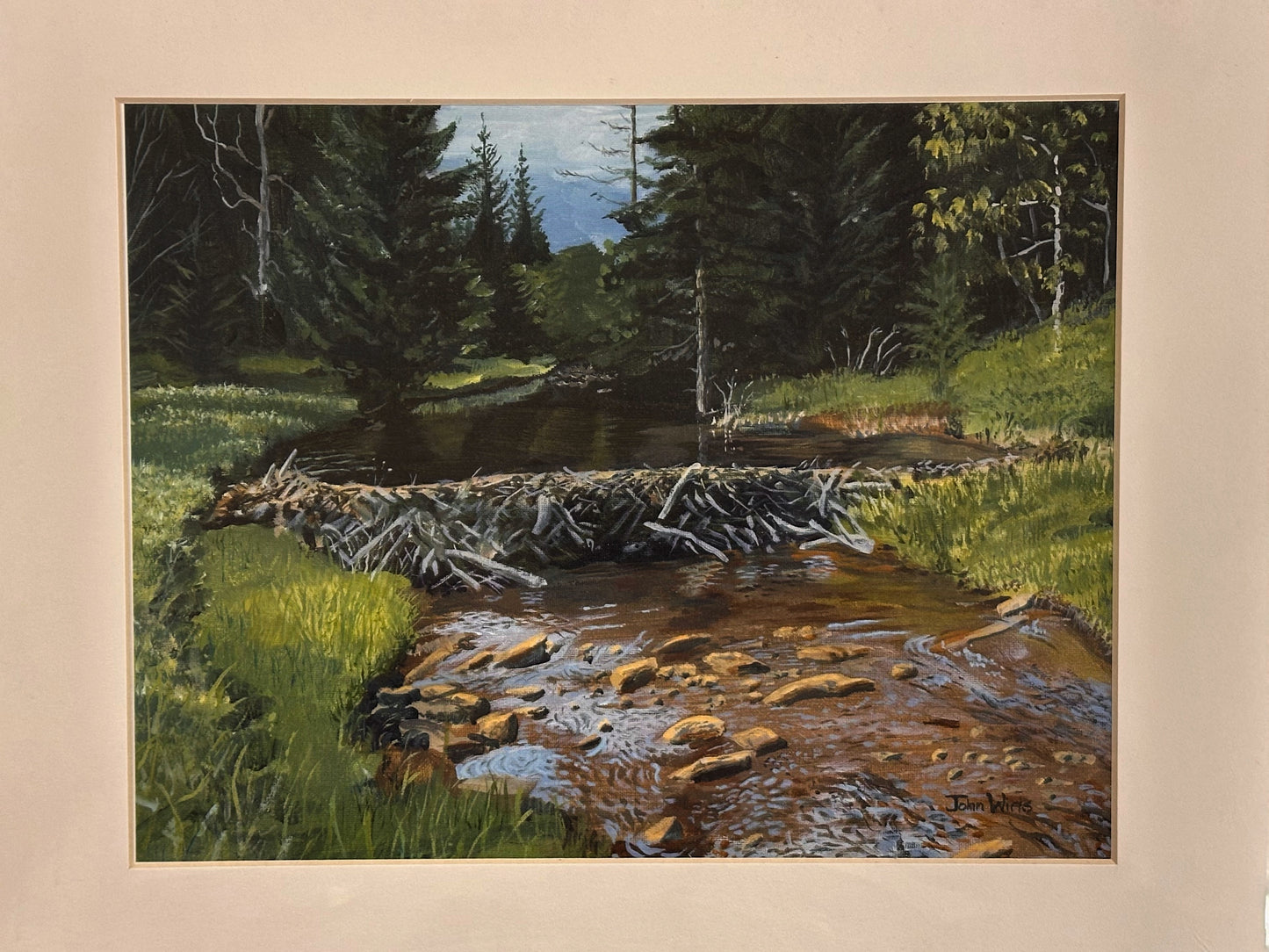 Print-Beaver Pond Otter Creek