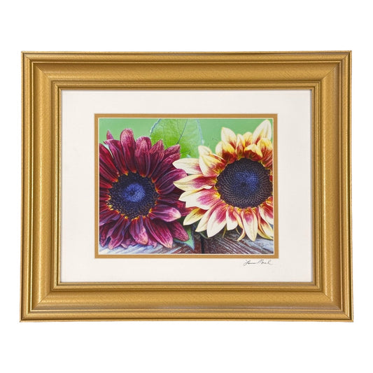 Twin Sunflowers