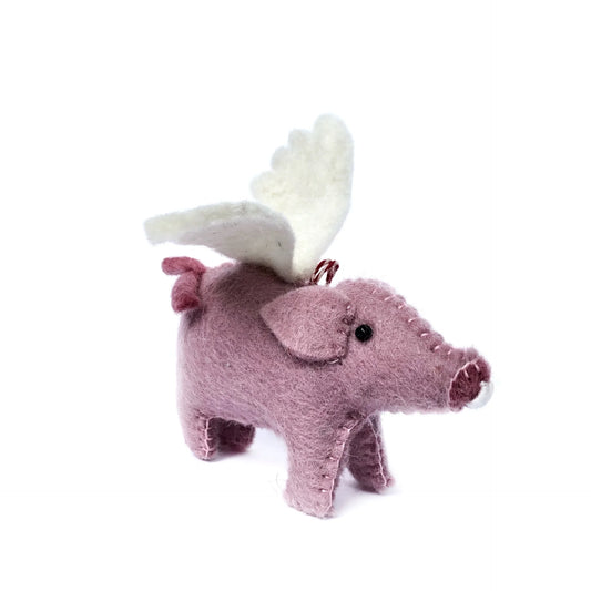 Flying Pig