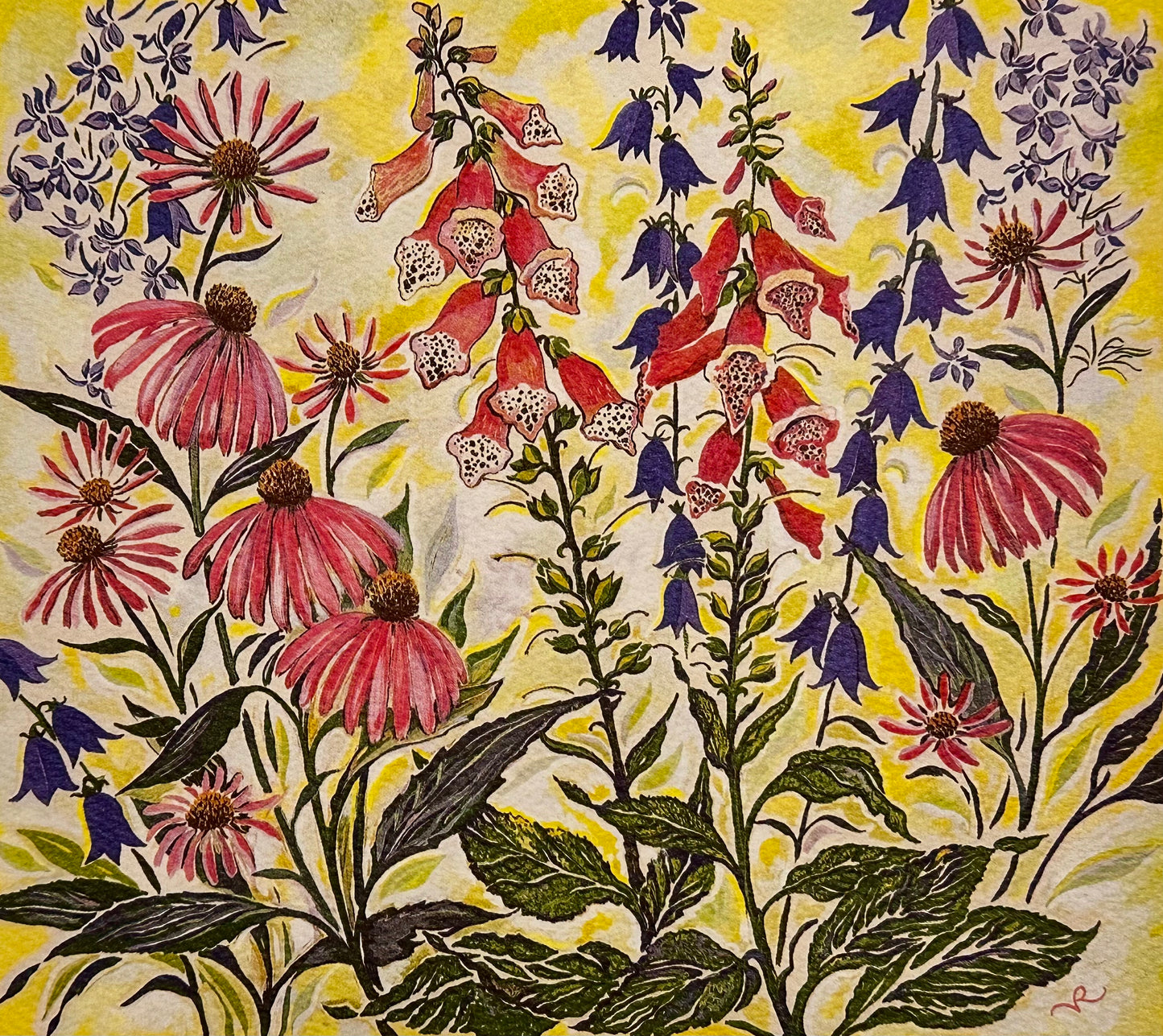 Echinacea, Foxglove, Ladybells