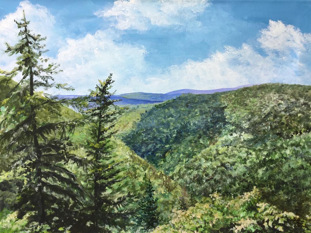 WV Morning