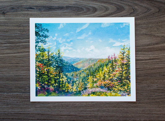 Blackwater Falls State Park, WV Print: 10" x 8"