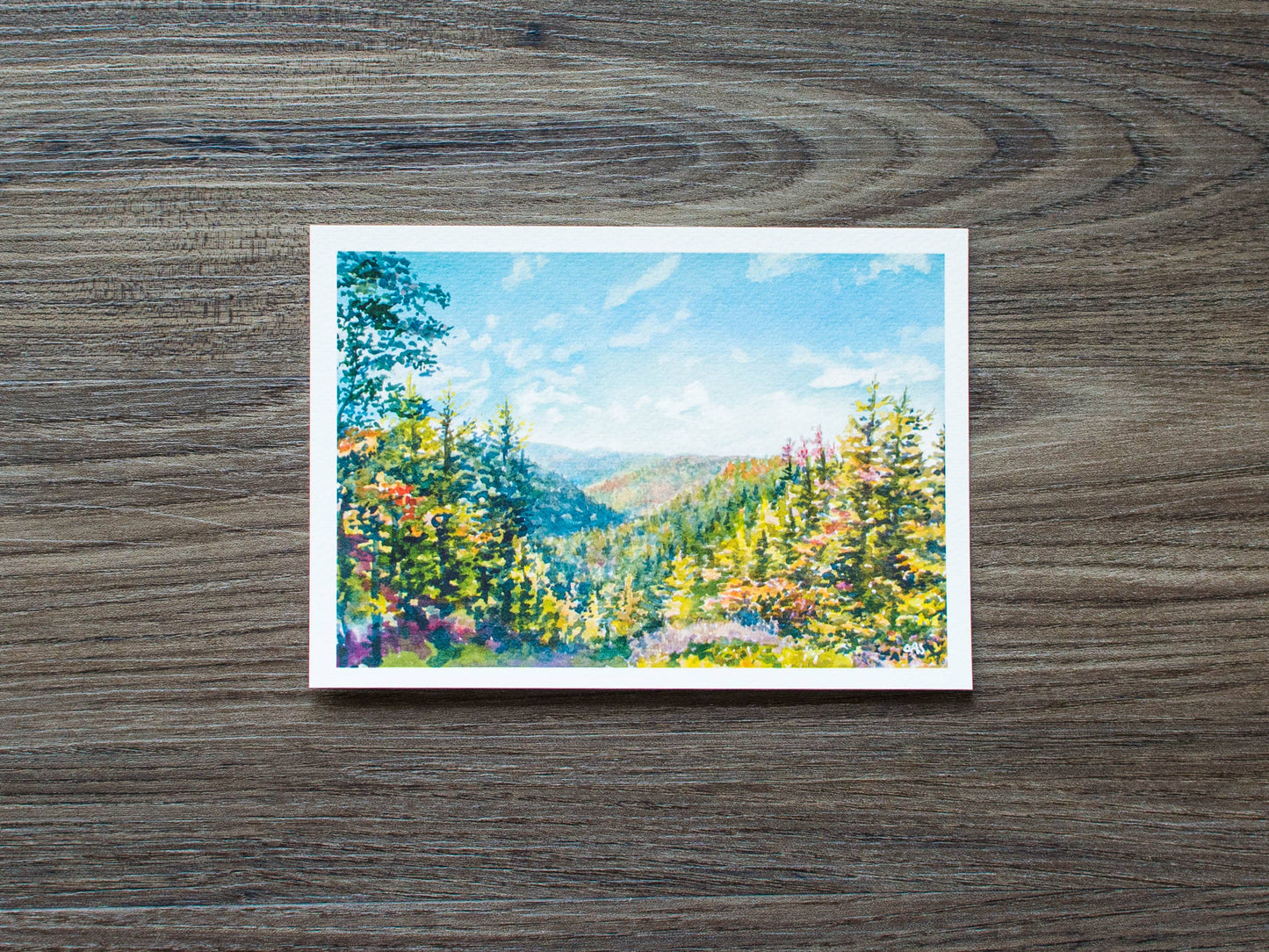 Blackwater Falls State Park, WV Print: 10" x 8"