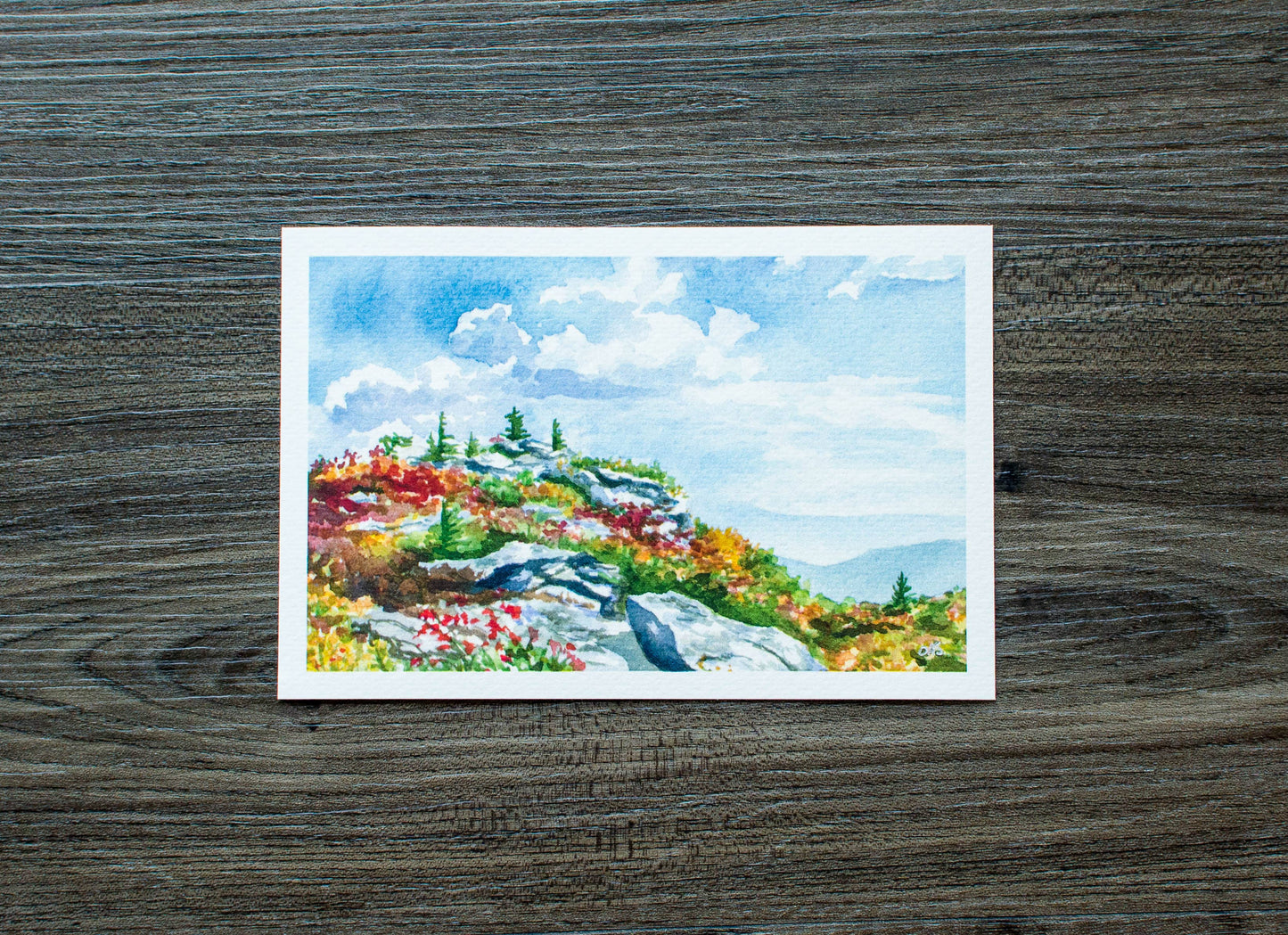 Bear Rocks at Dolly Sods Print: 10" x 8"
