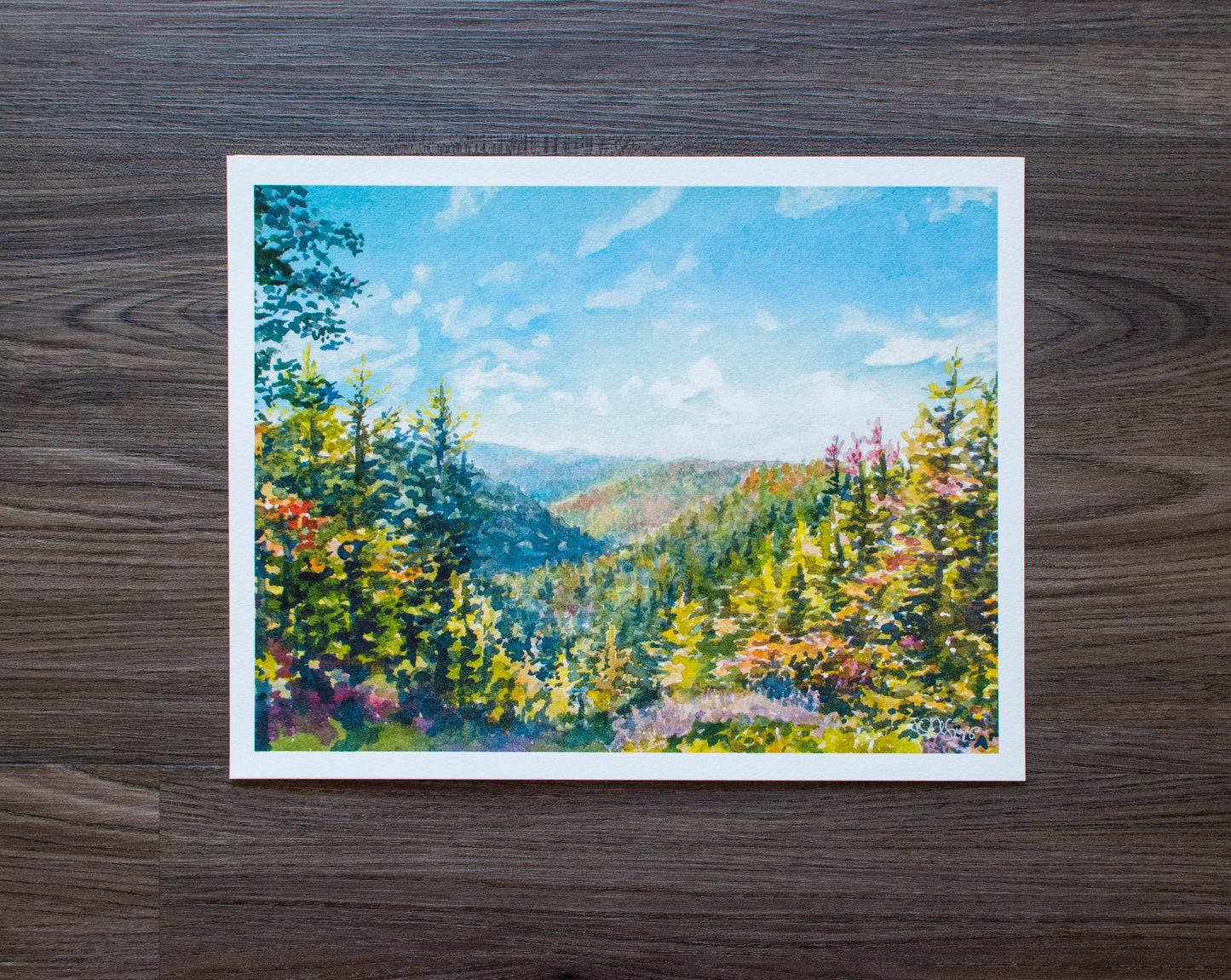 Blackwater Falls State Park, WV Print: 10" x 8"