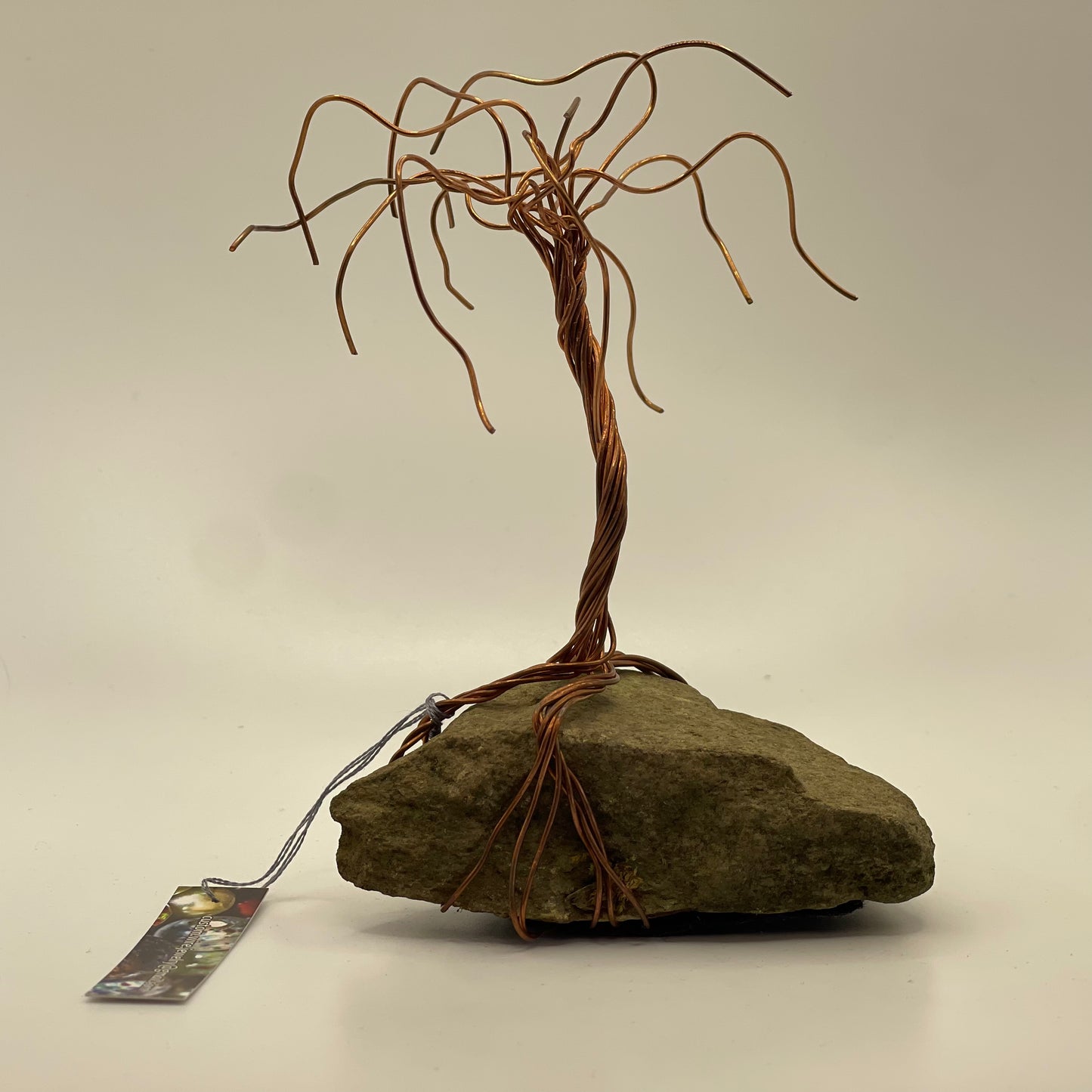 Leafless Copper Tree