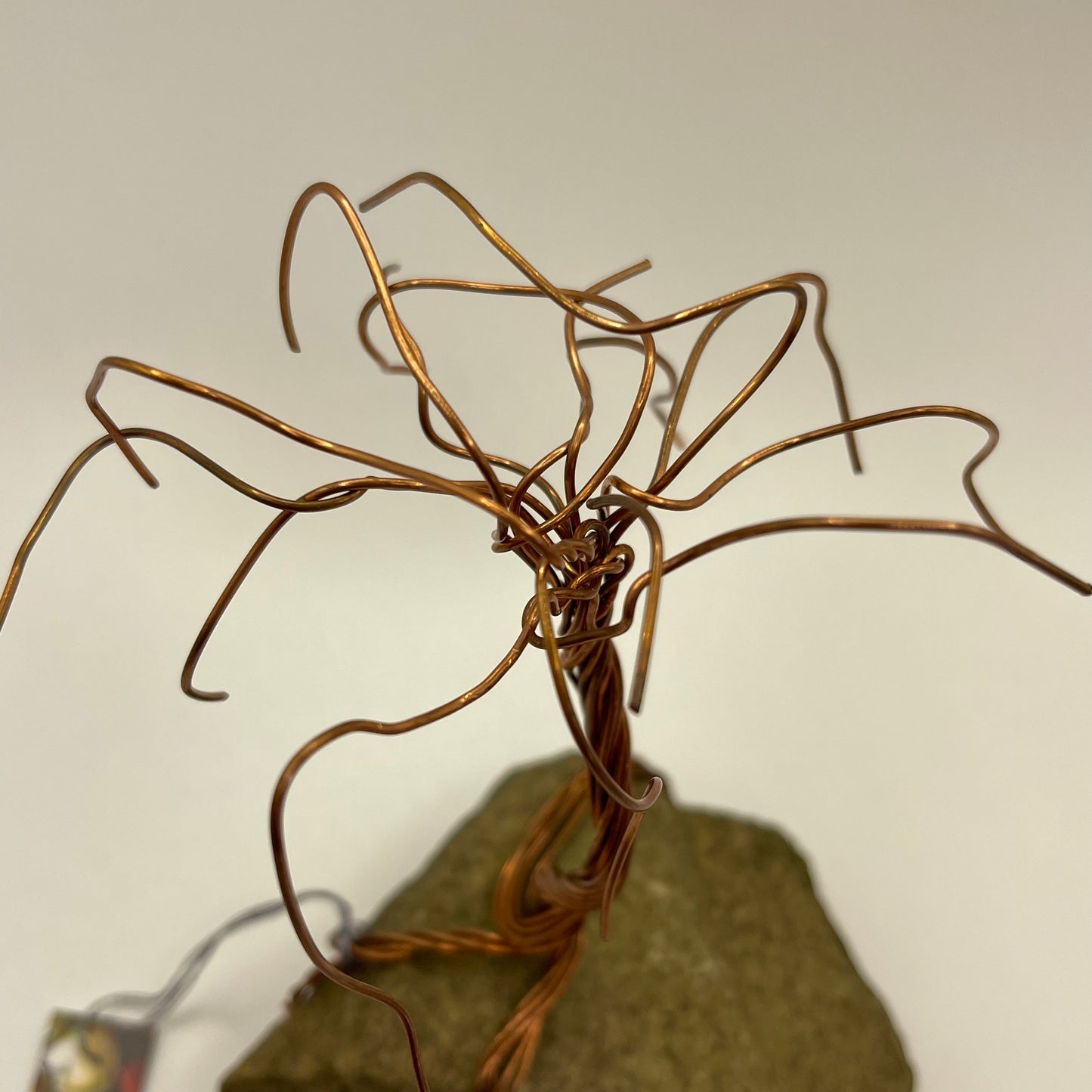 Leafless Copper Tree