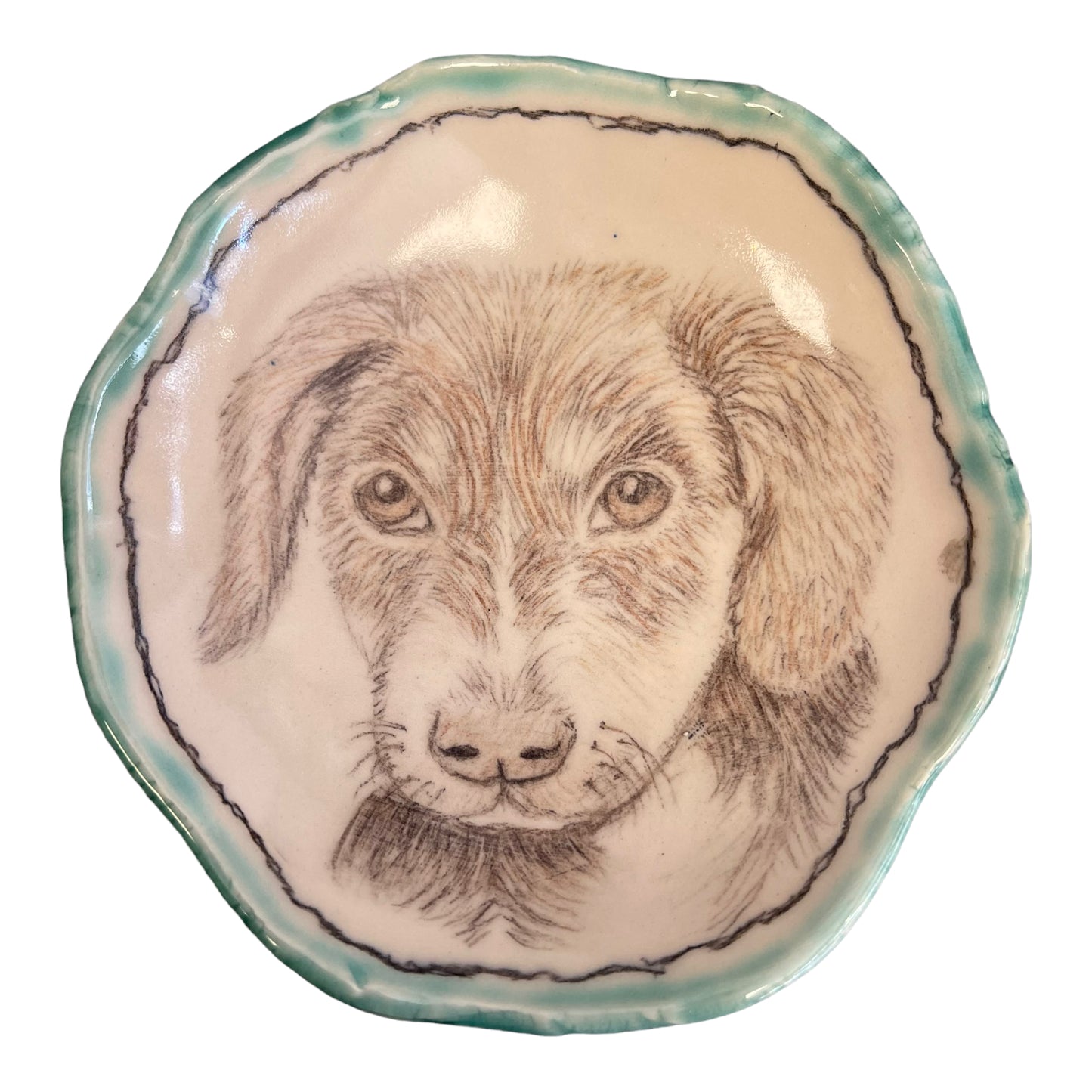 Doggie Dish