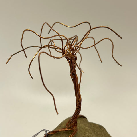 Leafless Copper Tree